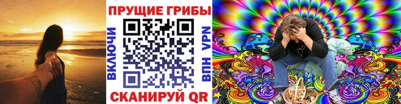 Псилоцибиновые грибы MAGIC MUSHROOMS  хочу наркоту  Переславль-Залесский 