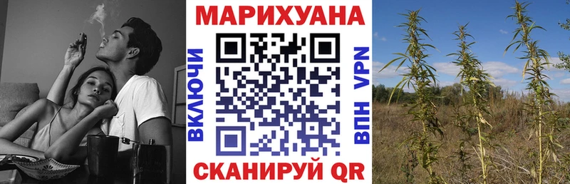 Бошки марихуана SATIVA & INDICA  магазин продажи   Переславль-Залесский 